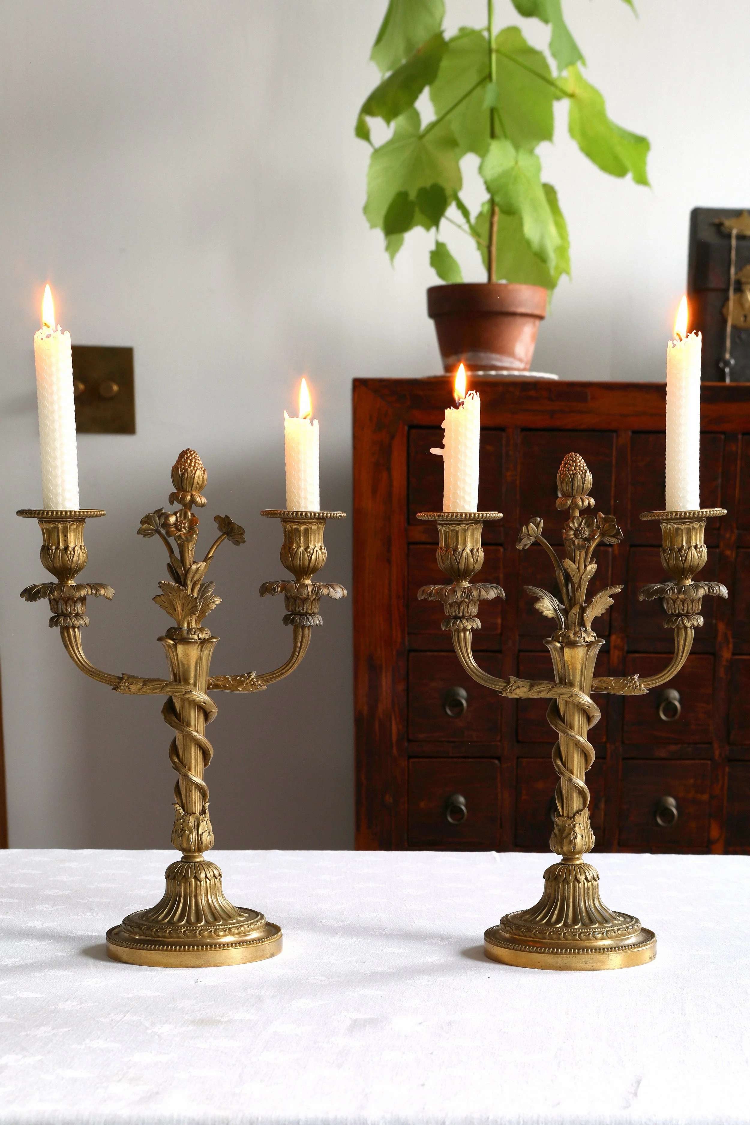 Lighting — New Arrivals — Curio Shop